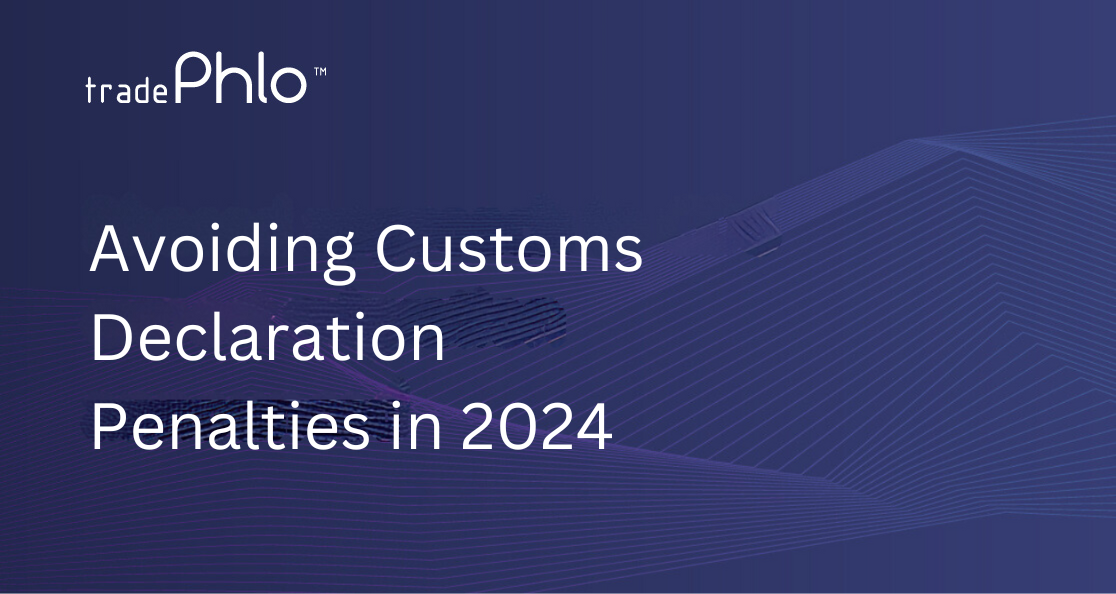How to avoid customs declaration penalties in 2024