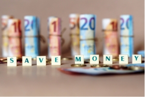 Maximizing savings with customs software